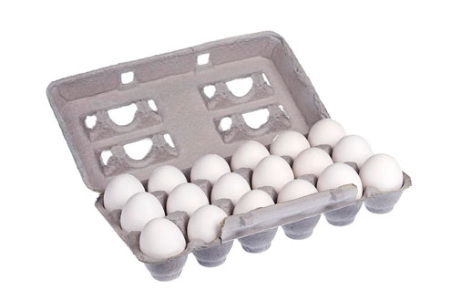 18-hole Egg Carton